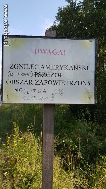 Zgnilec amerykański