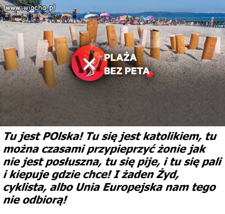 Petolandia