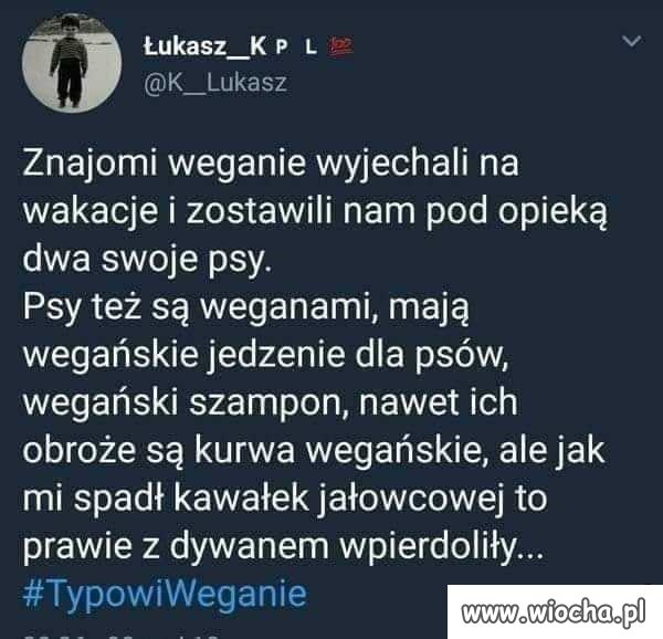Kochane wegańskie pieski