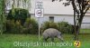 Olsztyński ruch oporu
