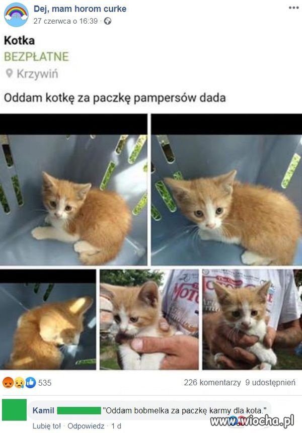 Pozostawiam