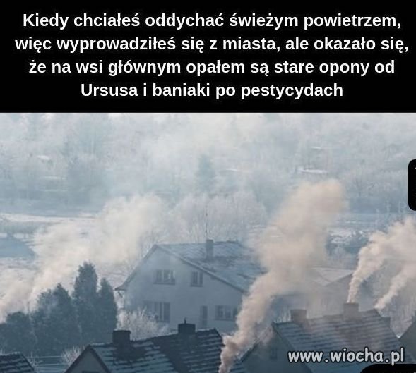 Wsi spokojna