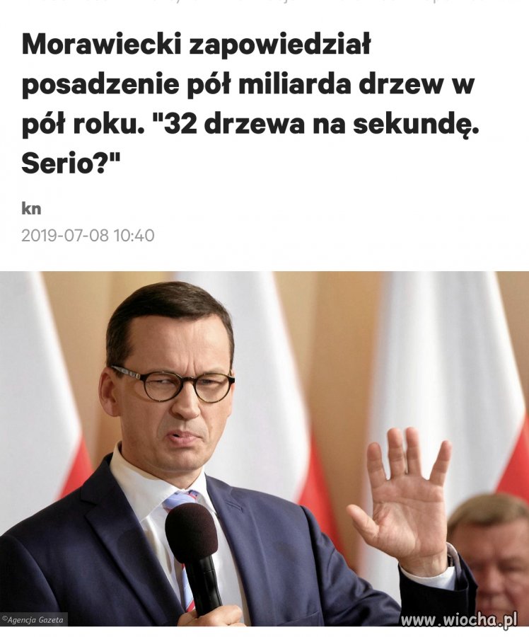 Mów mi mistrzu 