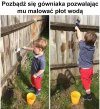 Patenty