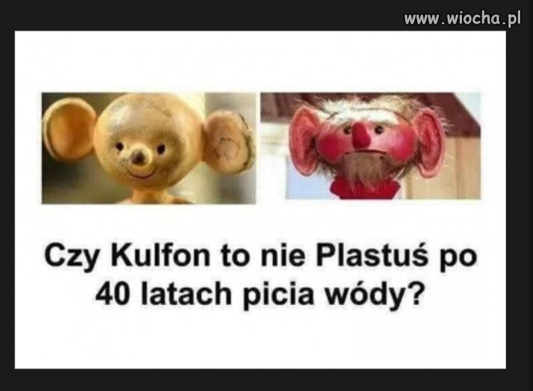 Na to wygląda 