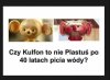 Na to wygląda 