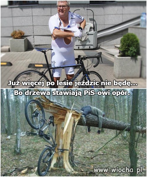 Kolarz