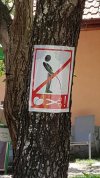 Jasne bez słów