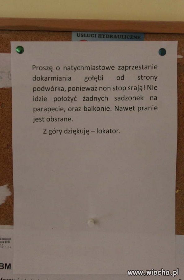 Wiadomość na tablicy. 