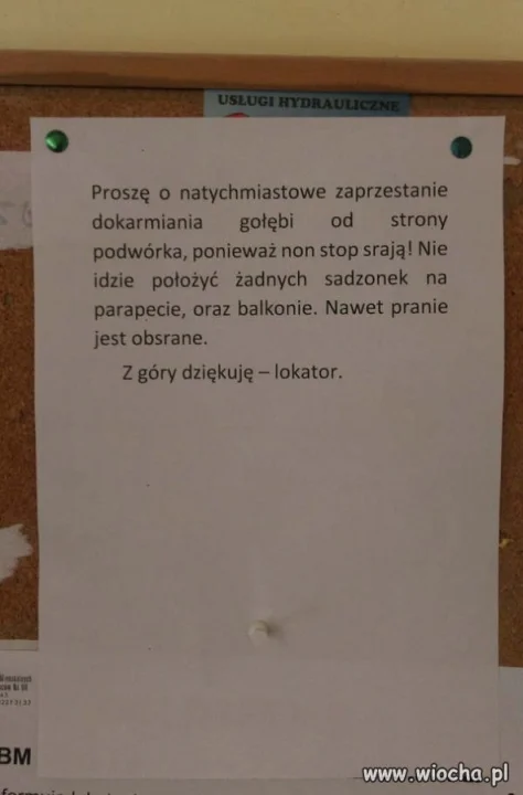 Wiadomość na tablicy. 