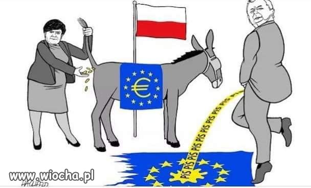 Koryto nr 1 - wydoić Polskę