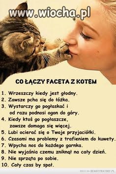 Kobiety uwielbiają kociaki