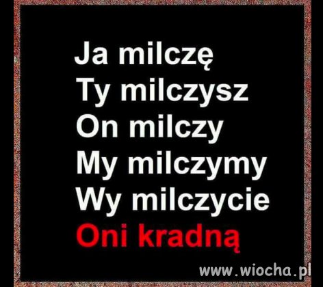 Ja, Ty, On, My, Wy