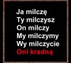 Ja, Ty, On, My, Wy