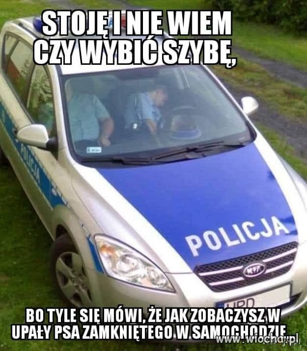 Ratować czy nie?