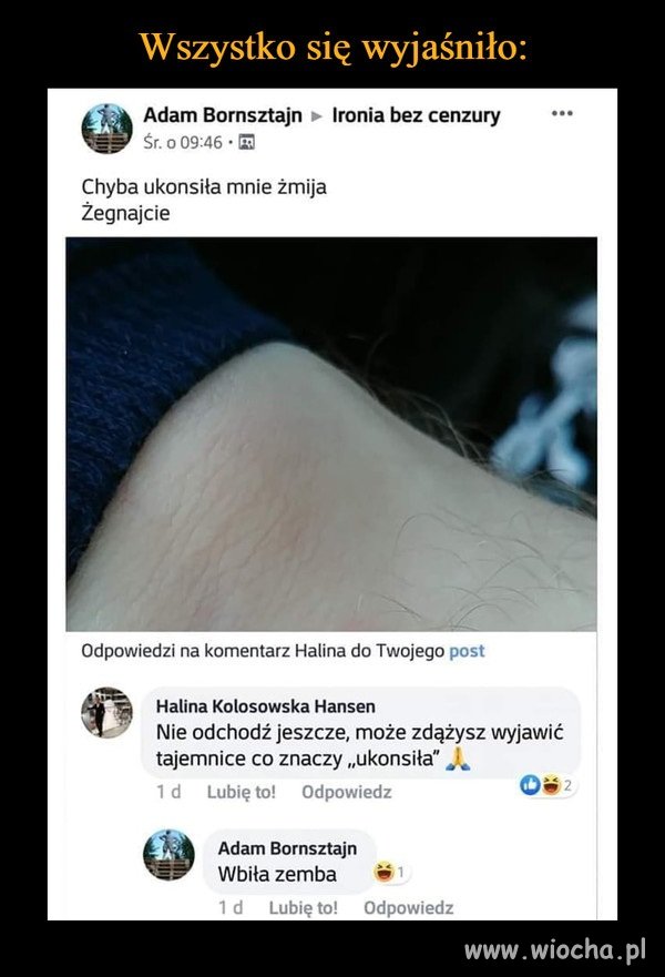 Wstrętna żmija