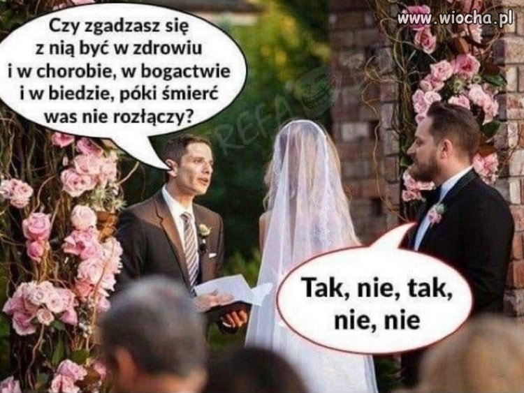 Tak, nie, tak, nie, nie