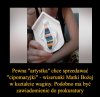 Cipo maryjki na pewno pobije Tadzia.