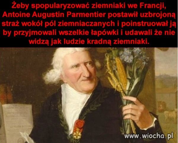 To jest dopiero