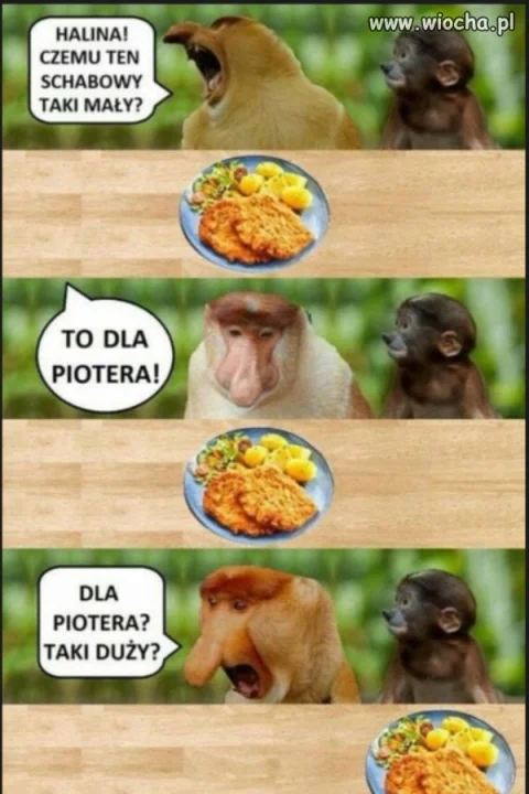 Za mały schabowy.