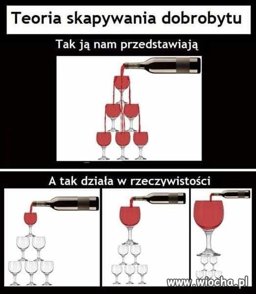 Coś w tym jest