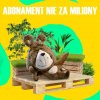 Abonament