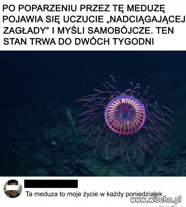 Tak jest...