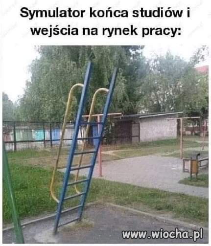 Życie 