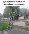 Życie 