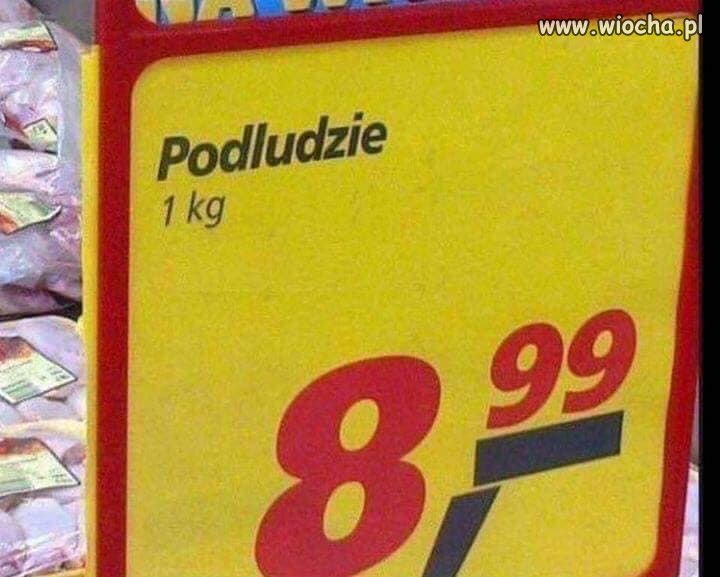 Podludzie
