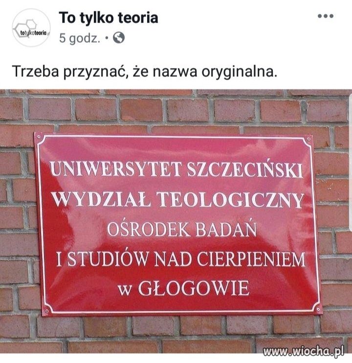 Bolesne studia