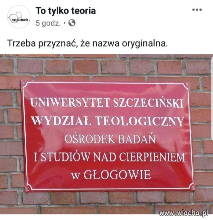 Bolesne studia