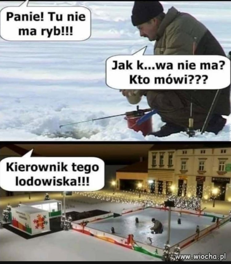Na fazie