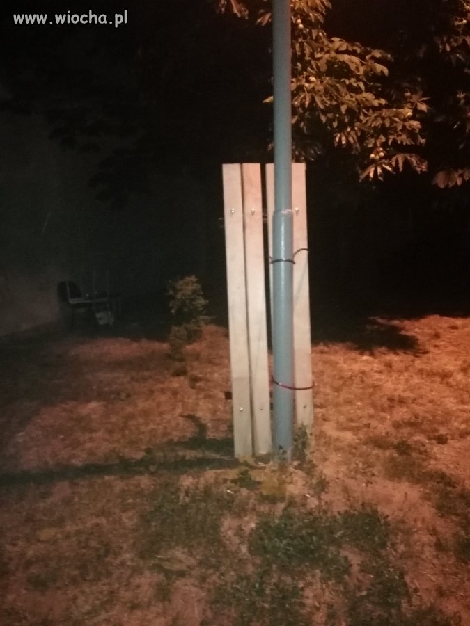 Sąsiadki codziennie biesiadują 
