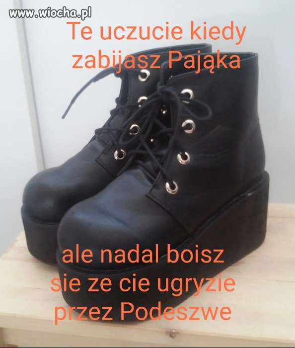 Pajączki