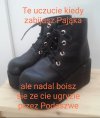 Pajączki