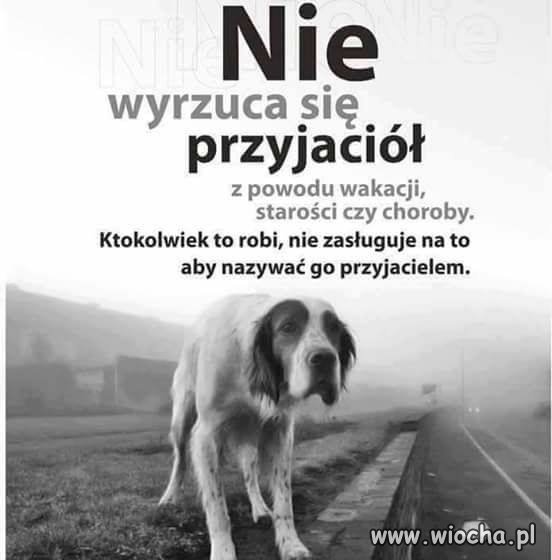Przekaz dnia