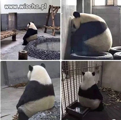 Dobre warunki życia
