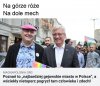 Gejowskie czy tolerancyjne ?Jak myślicie?