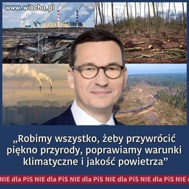Wycinając pół puszczy