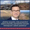 Wycinając pół puszczy