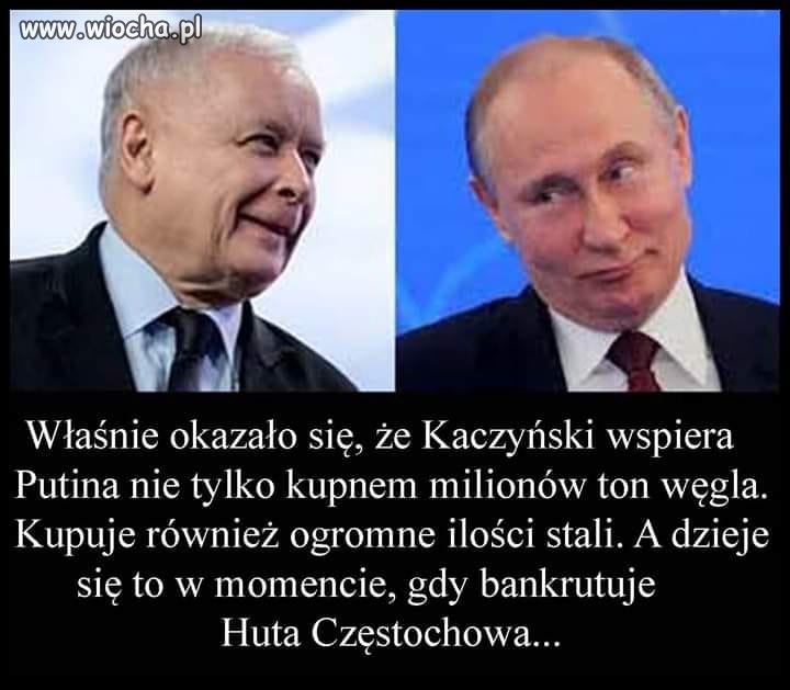 Pis to pożyteczni 