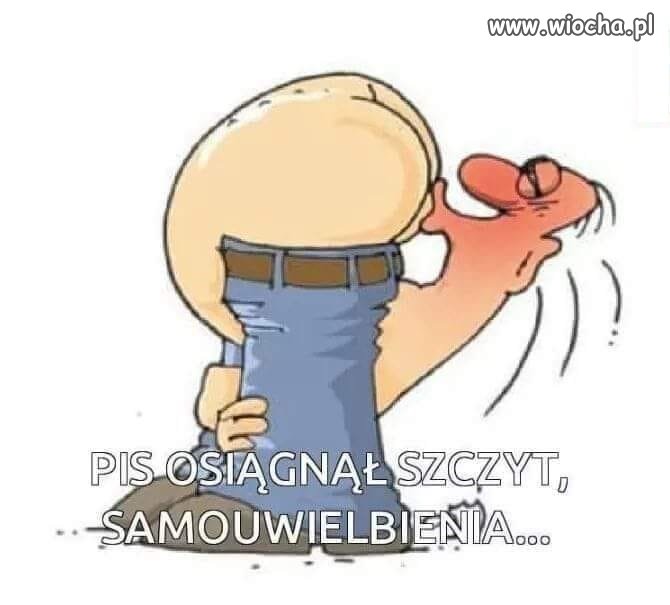 Po ostatnich sondażach ...