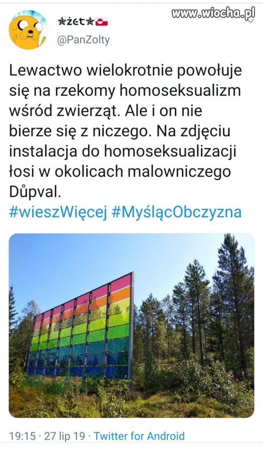 Homoseksualizator łosi