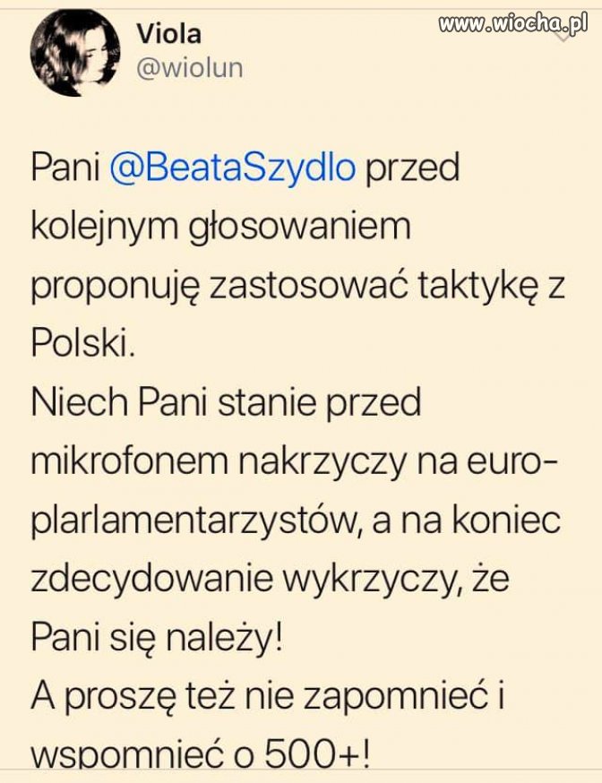 Koniecznie wspomnieć o 500+