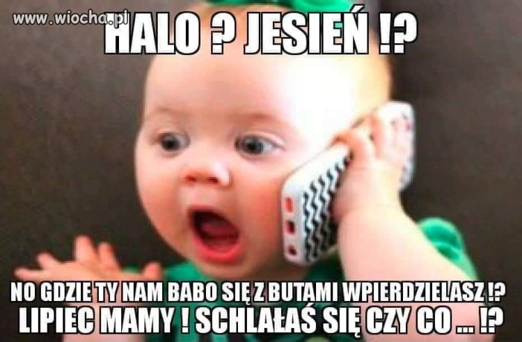 Taki mamy klimat 