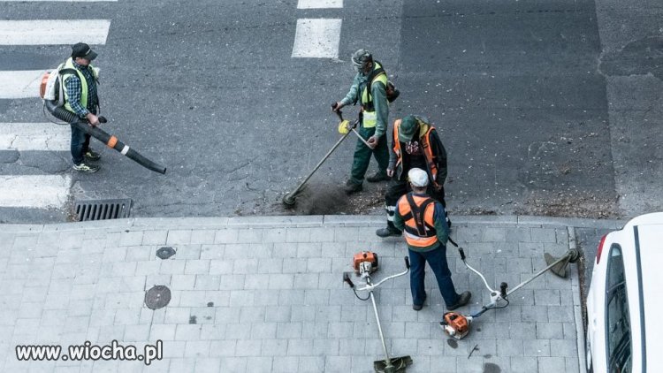 Kosim bo lubim...