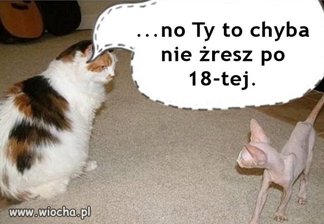 Wyjątkowo cienki 