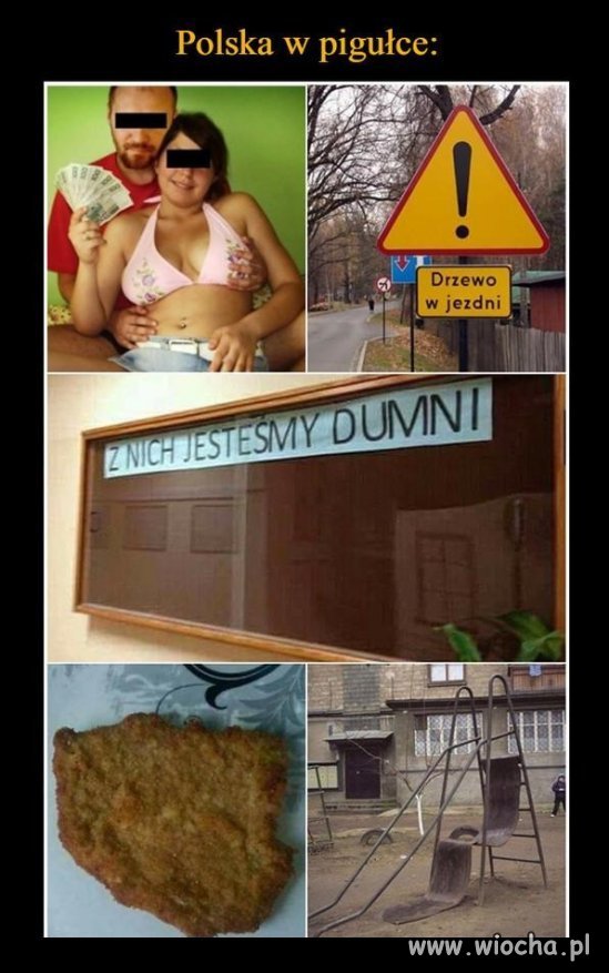 Polska w pigułce.