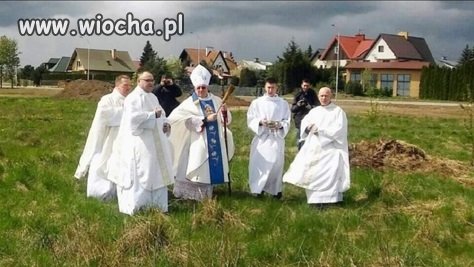 Nowy sposób na krety w ogrodzie